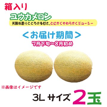 箱入り　ユウカメロン2玉【32ptプレゼント】の画像
