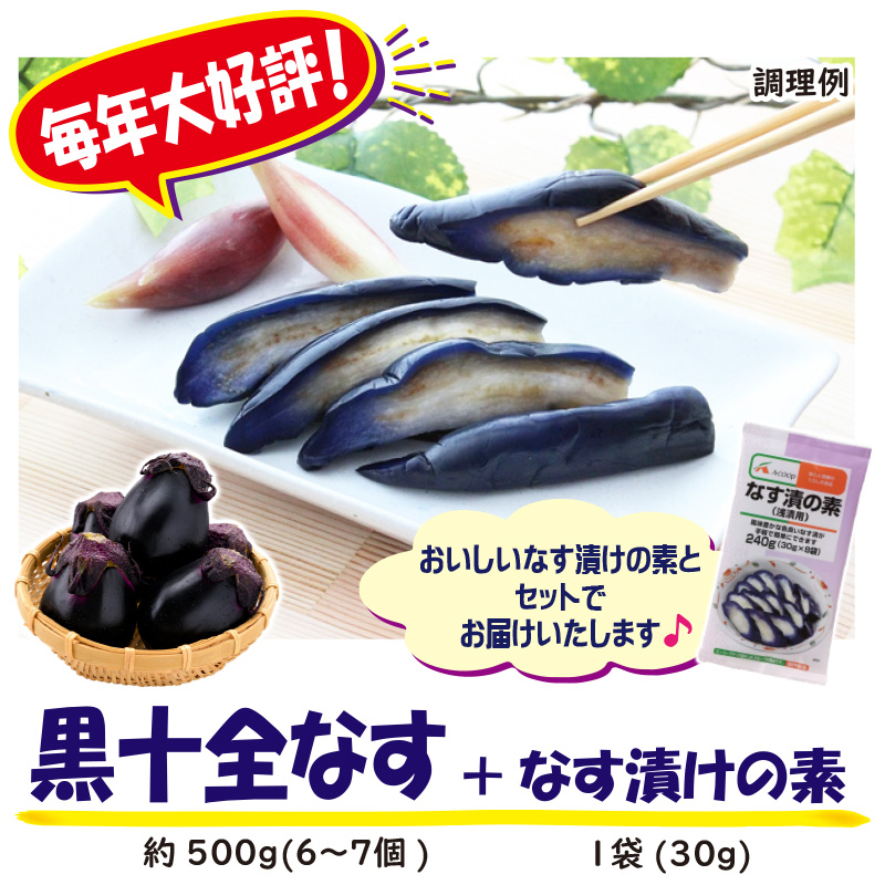浅漬けに最適！黒十全なす 約500g（6～7個）+なす漬の素(30g)1袋セット【4ptプレゼント】の画像