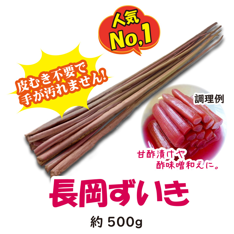 皮むき不要！簡単調理　長岡ずいき 約500g【3ptプレゼント】の画像