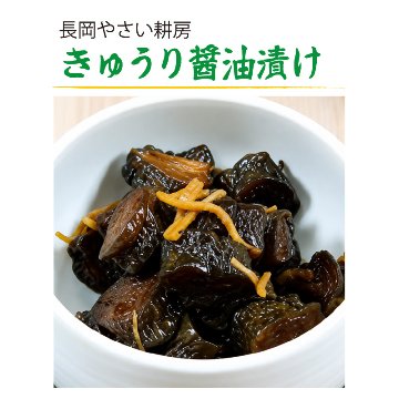 長岡やさい耕房　きゅうり醤油漬け（100g）【3ptプレゼント】の画像