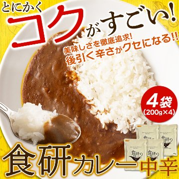 【全国送料無料】【ゆうパケット出荷】20種類以上のスパイス使用！美味しいレトルト食研カレー4食(200g×4袋)【65ptプレゼント】画像