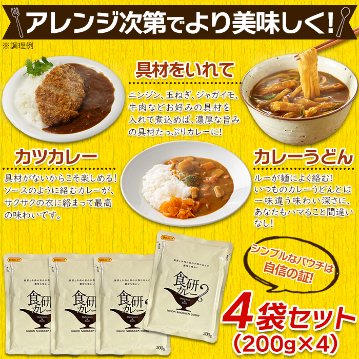 【全国送料無料】【ゆうパケット出荷】20種類以上のスパイス使用！美味しいレトルト食研カレー4食(200g×4袋)【32ptプレゼント】の画像