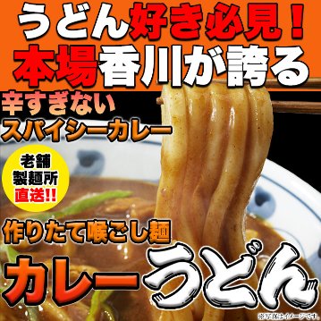 【全国送料無料】【ゆうパケット出荷】讃岐の製麺所が作る、レンジで簡単！辛すぎないスパイシーなカレーうどん4食(180g×4)【56ptプレゼント】画像