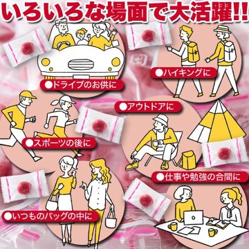 いいものセレクション④まる小梅くん170g×1袋【11ptプレゼント】の画像