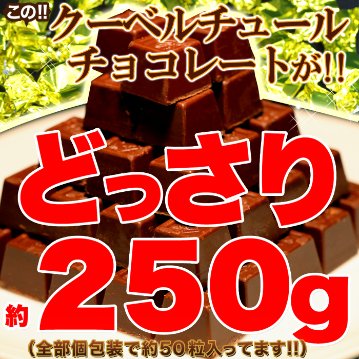 【送料無料(沖縄・離島への配送不可)】なめらかなくちどけ♪クーベルチュール使用!! エリスリトールチョコレートたっぷり250g【81ptプレゼント】の画像