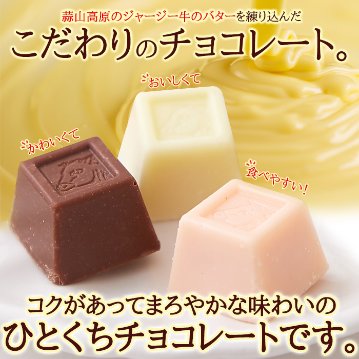 【送料無料(沖縄・離島への配送不可)】いろんな味が楽しめる!!【お徳用】ジャージーミックスひとくちチョコレート300g【73ptプレゼント】の画像