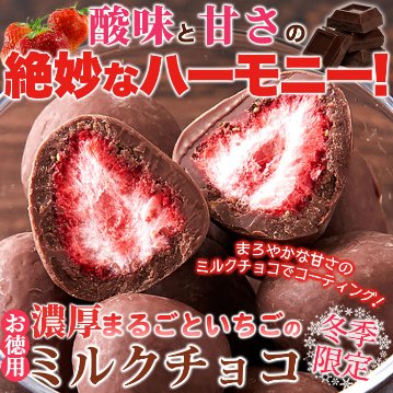 【送料無料(沖縄・離島への配送不可)】酸味と甘さの絶妙なハーモニー!!【お徳用】濃厚まるごといちごのミルクチョコ250g【83ptプレゼント】の画像