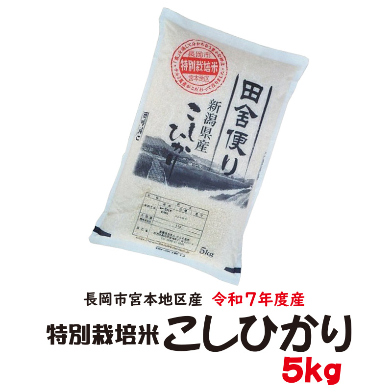 新米!令和7年産 新潟県長岡産 特別栽培米こしひかり白米5kg【32ptプレゼント】の画像