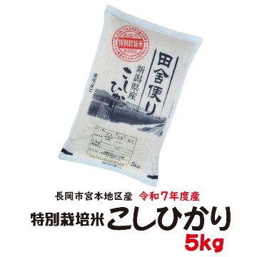 新米!令和7年産 新潟県長岡産 特別栽培米こしひかり白米5kg【43ptプレゼント】の画像