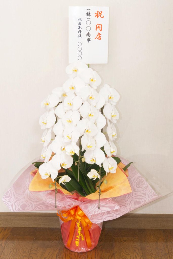 【フラワーギフト】 胡蝶蘭３本立ち | 鹿児島市、姶良市お届け限定の画像