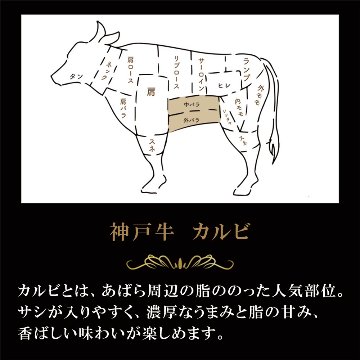 【お家でカルビ！】神戸牛 焼肉用（カルビ・赤身） 600gの画像