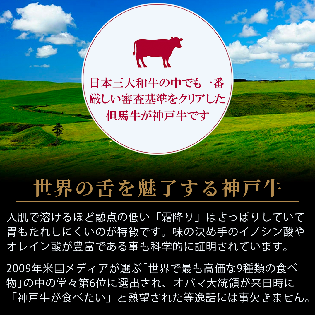 【送料無料】神戸牛サーロイン ステーキ用 200ｇ×2枚の画像