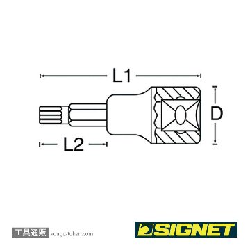 SIGNET 22861 (#22510)3/8DR T-10 ヘクスローブビットソケット画像