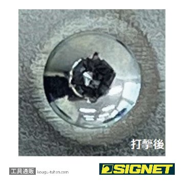SIGNET 52561 +2X100 ビスブレーカー ドライバー画像