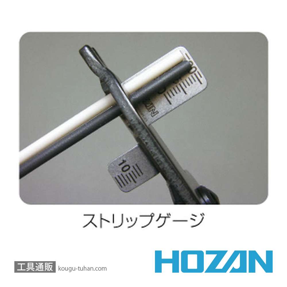 HOZAN P-925 合格ゲージの画像
