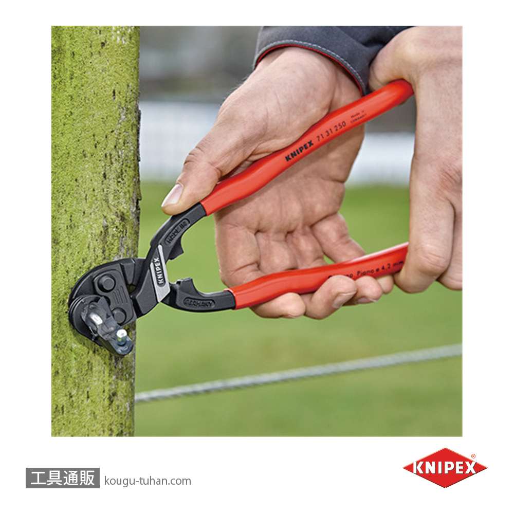 KNIPEX 7131-250 小型クリッパー リセスツキの画像