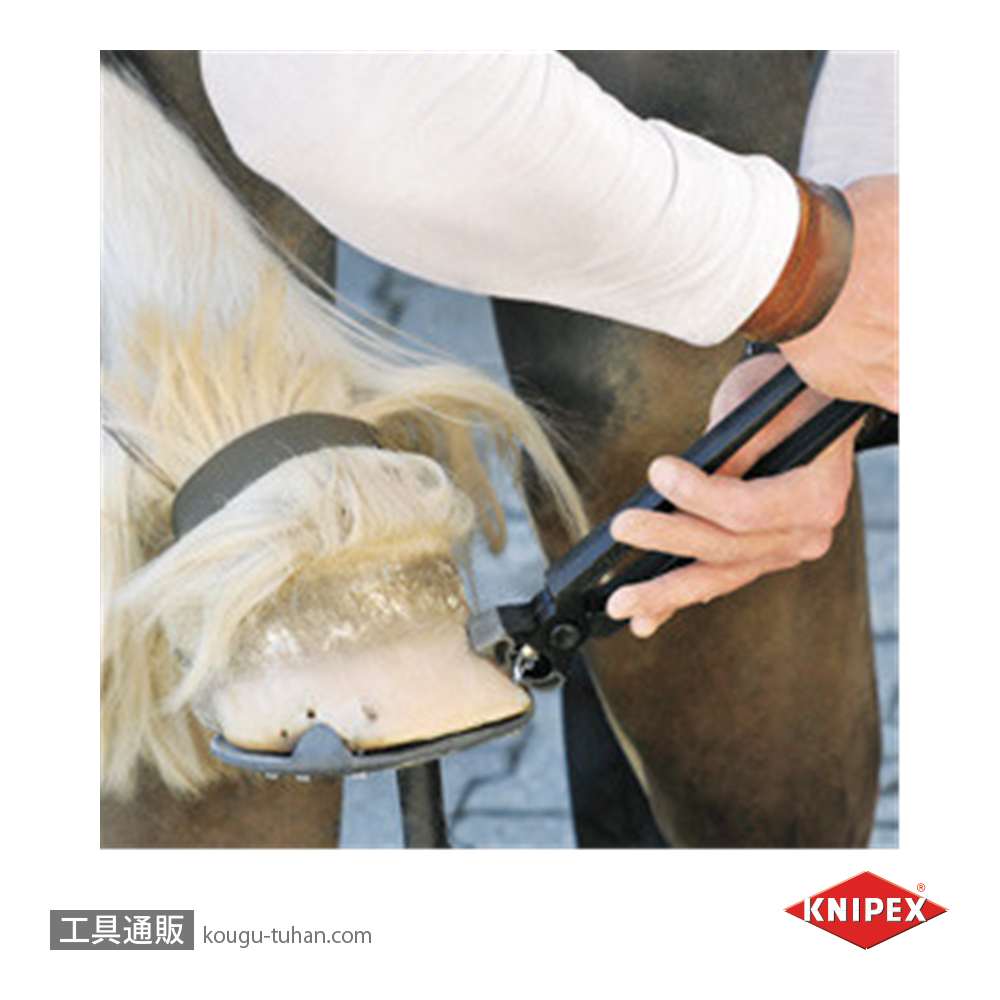 KNIPEX 5500-300SB 蹄鉄工用プライヤー (ハンブルグ型)の画像