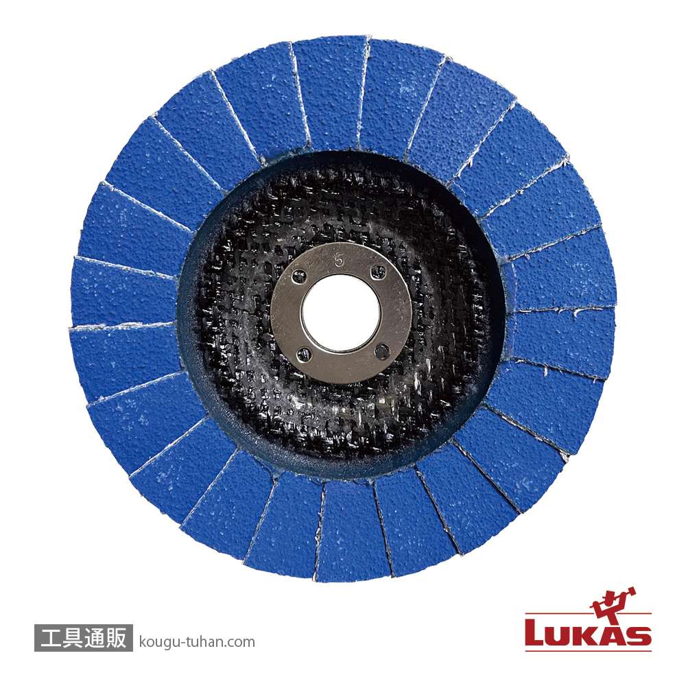 LUKAS A67441000601445 V2P 100 ZP60 INOX FLディスク【10点セット】の画像