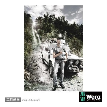 Wera 8767 C HF 1/2SQトルクスビットソケット(ホールド仕様) TX50 軸長60mmの画像