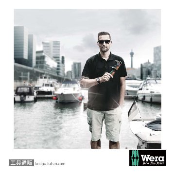 Wera 950/9 ショートL型ボール六角レンチ9本組の画像