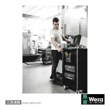 Wera クラフトフォーム 2go 300 11本組(+,PZ,TX,-)の画像