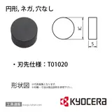 RNGN090300T01020 KS6030 チップ TTA04312【10点セット】