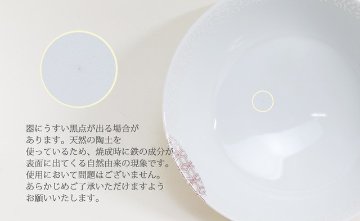錦花綱金襴手AritaBOWL の画像