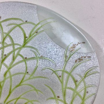 錦月明半月銘々皿（白）　14.5㎝の画像