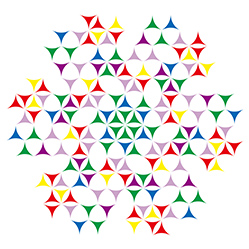 M-575　デトックスフラワーの画像