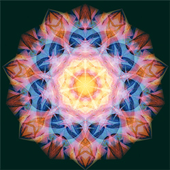 M-586　デルソマの画像