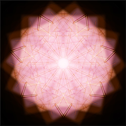 M-588　ピンクグラスの画像