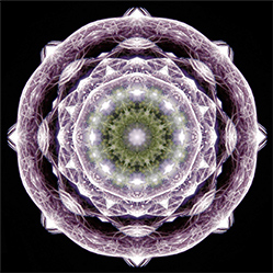 M-590　ブレイブウェイブの画像