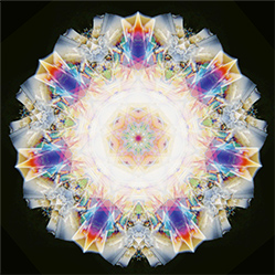 M-593　メグミの画像