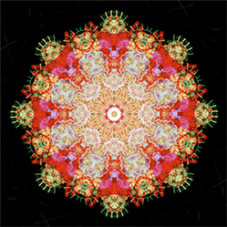 M-602　フラワーアンクの画像