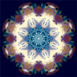 M-626　スタースパロウの画像