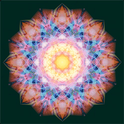 M-645　リリカの画像