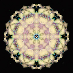 M-662　プリンセスの画像