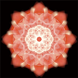 M-665　スユムの画像