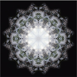 M-839　モブの画像