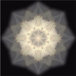 M-843　ラドンの画像