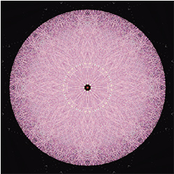 M-851　ローズスクリップの画像