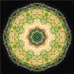 M-878　聖樹の画像