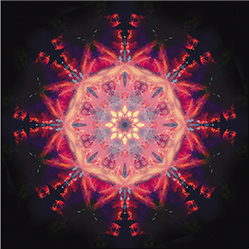 M-897　ファイアットの画像