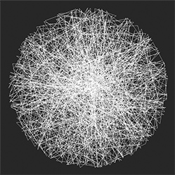 M-901　サイの画像