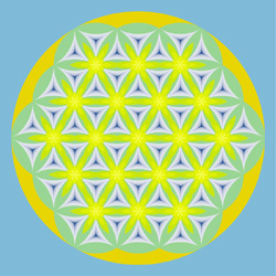 M-102　ハニービーの画像