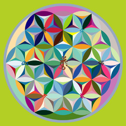 M-156　バランス・オブ・マンダラの画像