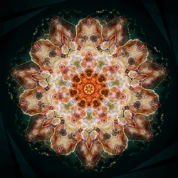 M-310　リュウトの画像