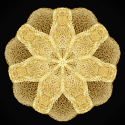 M-351　ラブコネクションの画像