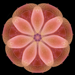 M-366　Ｇｏｄ　ｌｏｖｅ　ｙｏｕの画像