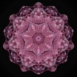 M-370　ザ・カードの画像